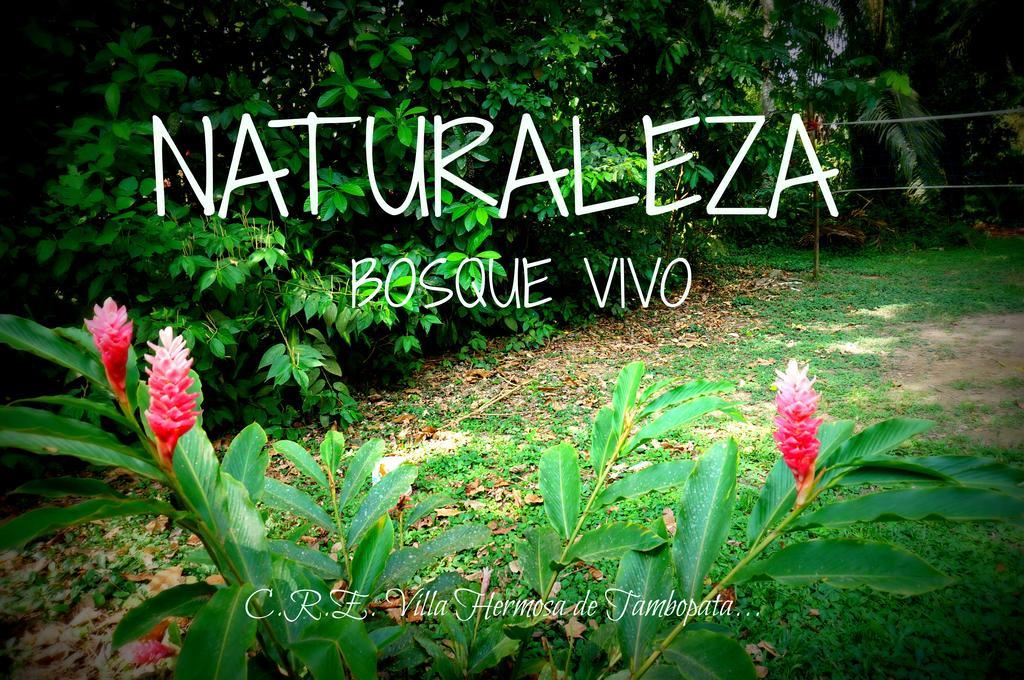 Villa Hermosa De Tambopata Casa Hospedaje & Hostel Puerto Maldonado Eksteriør billede