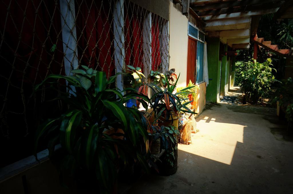 Villa Hermosa De Tambopata Casa Hospedaje & Hostel Puerto Maldonado Eksteriør billede