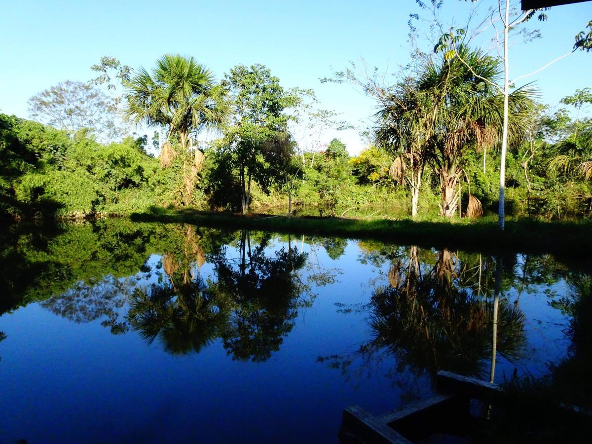 Villa Hermosa De Tambopata Casa Hospedaje & Hostel Puerto Maldonado Eksteriør billede